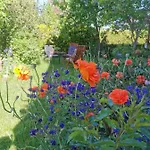 Gartenwohnung Paulsdorf Dippoldiswalde