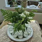 Apartament Gartenwohnung Paulsdorf *