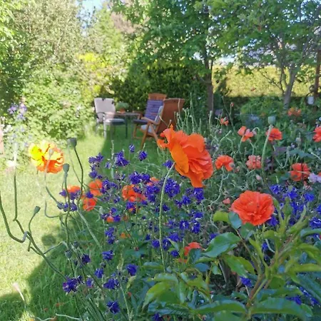 Gartenwohnung Paulsdorf Dippoldiswalde