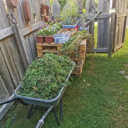 Gartenwohnung Paulsdorf