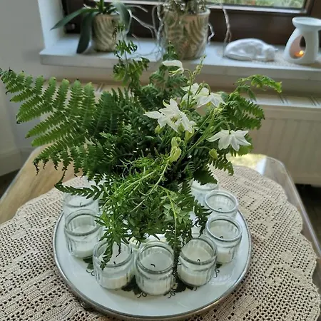 Apartment Gartenwohnung Paulsdorf *