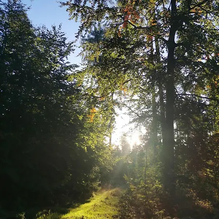 Gartenwohnung Paulsdorf アパート