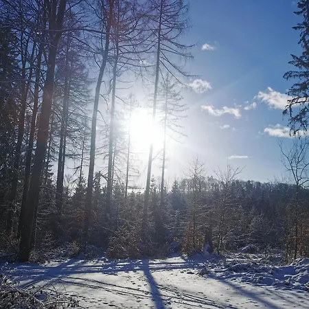 Apartment Gartenwohnung Paulsdorf Dippoldiswalde