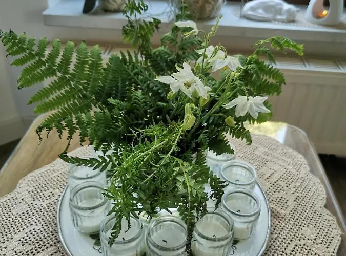 Apartment Gartenwohnung Paulsdorf *