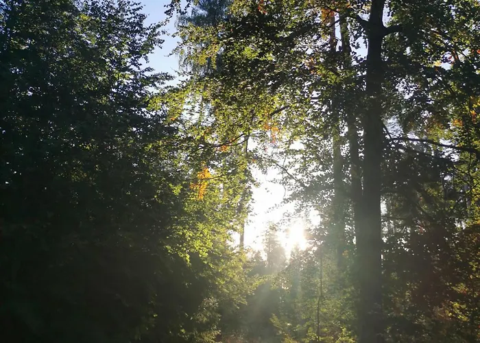 Gartenwohnung Paulsdorf Apartment