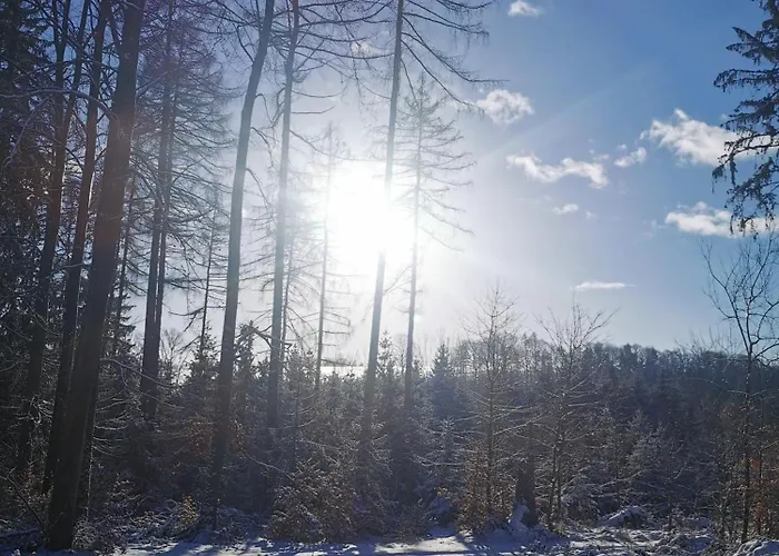 Apartment Gartenwohnung Paulsdorf Dippoldiswalde